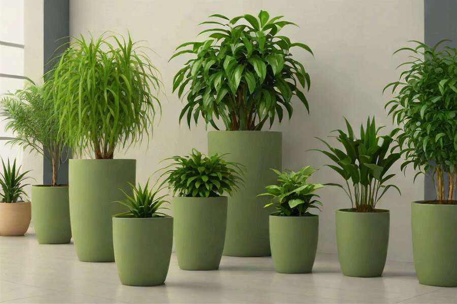 Stylish pots with green plants